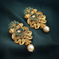 PANASH Gold-Toned & Contemporary Drop Earrings (Golden)