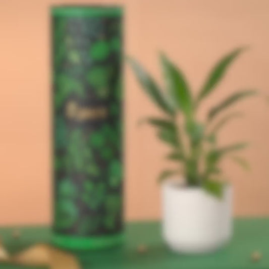 Ugaoo Peace Lily Plant with Ibiza Pot